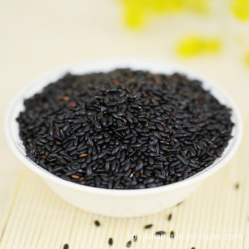 non-gom direct trade organic black rice